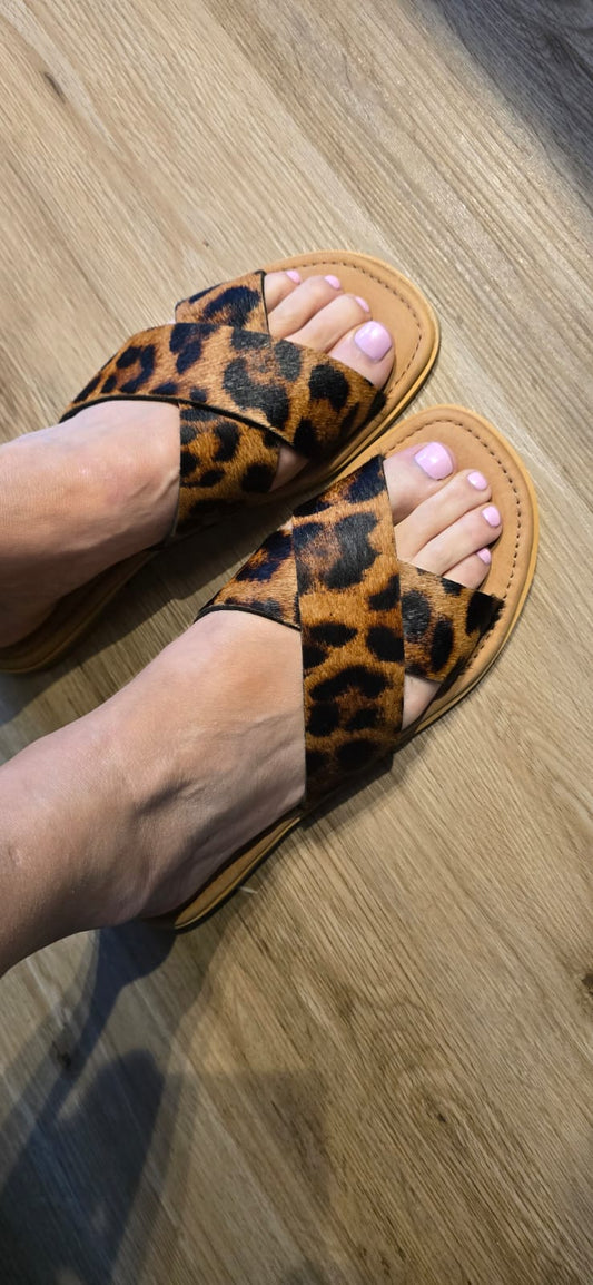 RAE Crossover in Leopard - UK 4