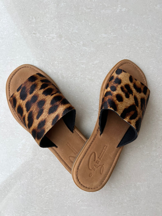 Sliders In Leopard